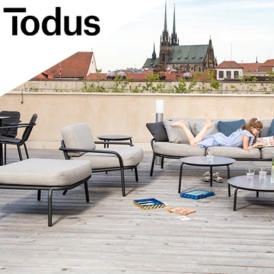 Todus